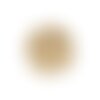 Bouton bijou camélia 19mm - ivoire