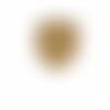 Ecusson thermocollant blason étoile sur laurier beige 4x3,5cm