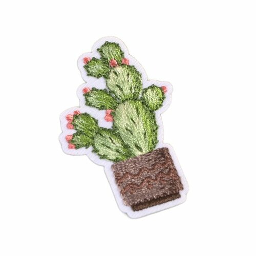 Ecusson thermocollant cactus cactus point rond 5,5cm x 3,5cm