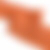 Bobine 14,6m broderie fleurs festonnée orange rouille 80mm