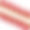 Bobine 20m frange pompons bicolore rouge bordeaux 25mm