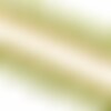 Bobine 20m frange pompons bicolore vert anis 25mm