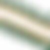 Bobine 20m frange pompons bicolore vert foncé 25mm