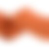 Broderie fleurs festonnée orange rouille 70mm au mètre