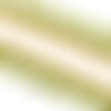 Frange pompons bicolore vert anis 25mm au mètre