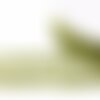 Bobine 13,5m guipure croisillons 30mm vert kaki
