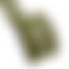 Bobine 10m ruban cerfs vert 63mm