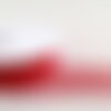 Bobine 20m galon arabesques rouge 25mm