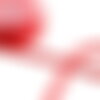Bobine 10m cordon velours rouge hermès 8mm