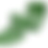 Dentelle rachel fleurs 60mm vert vif au mètre