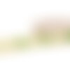 Bobine 18m galon jacquard roses 33mm vert