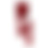 Dentelle métallique 23mm rouge au mètre