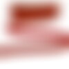 Galon losanges avec surpiqûres or 18mm rouge au mètre