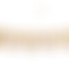 Bobine 20m galon flochettes 27mm moutarde