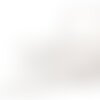 Bobine 13,7m guipure paillettes 60mm blanc