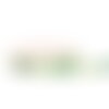 Bobine 20m ruban laitonné oeufs vert