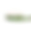 Bobine 20m ruban pois laitonné vert