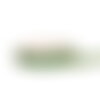 Bobine 20m ruban écossais laitonné vert