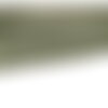 Sangle double chevrons 38mm vert au mètre