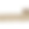 Bobine 10m galon brodé paillettes 45mm blanc