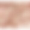 Tissu double gaze imprimée fleurs 130gsm fleur rouge au mètre