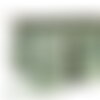 Galon bicolore six brins 31mm kaki au mètre