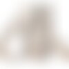 Galon vagues sur tresse métal 25mm beige au mètre