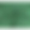 Broderie anglaise 100% coton grandes arabesques vert nil au mètre