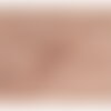 Broderie anglaise 100% coton grandes arabesques rose poudre au mètre