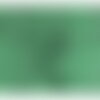 Broderie anglaise 100% coton fleurs vert nil au mètre