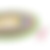 Tricotin