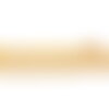 Bobine 8,8m galon brodé empire 53mm jaune or