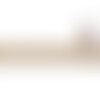 Bobine 8,8m galon brodé empire 53mm beige