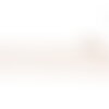 Bobine 8,8m galon brodé empire 53mm blanc