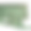 Double frange 29mm vert kaki clair au mètre