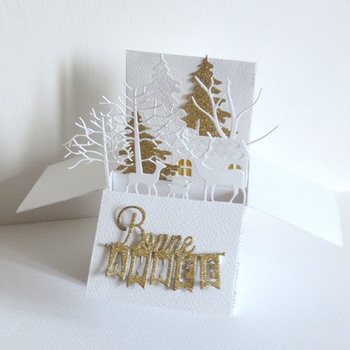 Carte bonne année, carte de voeux popup.