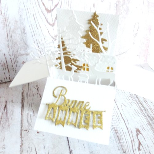 Carte bonne année, carte de voeux popup.