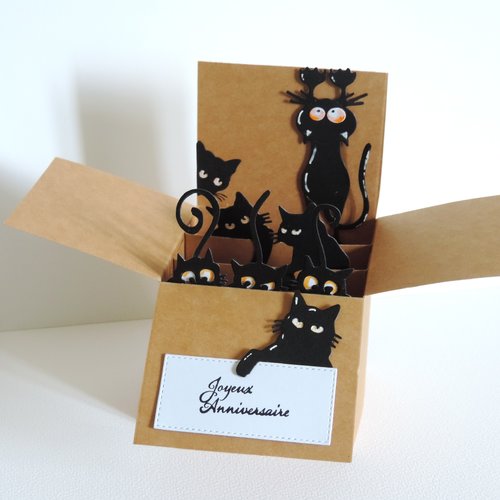 Carte popup chats, carte anniversaire