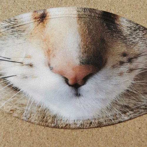 Masque anti-postillon enfant "museau de chat"