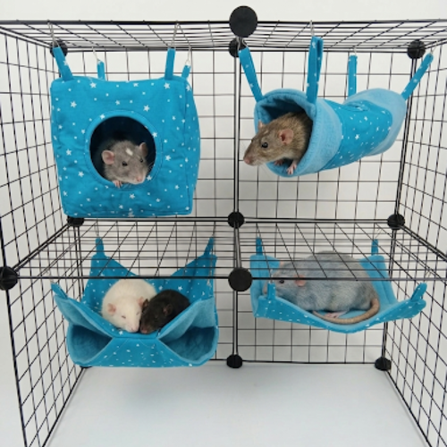 Pack confort rats | kit 4 dodos et hamacs suspendus en polaire & coton oeko-tex - accessoires cage rat fait main