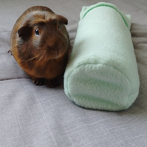Pochette rafraîchissante en polaire pour rongeur et lapin - housse pour bouteille congelée anti coup de chaleur - fait main en france