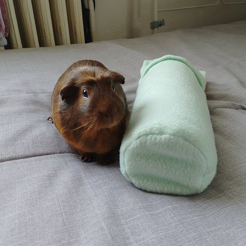 Pochette rafraîchissante en polaire pour rongeur et lapin - housse pour bouteille congelée anti coup de chaleur - fait main en france
