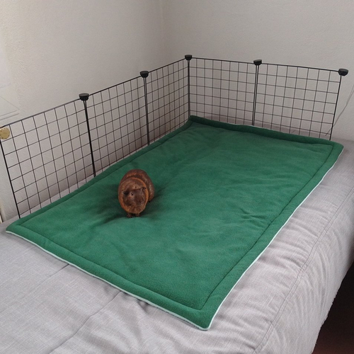 Tapis polaire absorbant pour cage cavy - vert menthe & vert sapin (dimensions au choix)