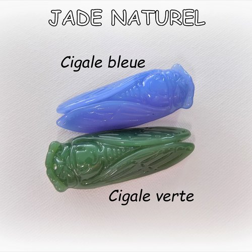 Pendentipendentif jade vert ou bleu sculpté cigale de 60 x 22 x 15 mm - pierre fine - (x 1 pièce)