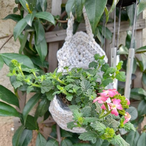 Paniers suspendus, au crochet en coton, pour plantes
