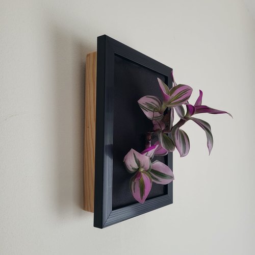 Cadre 1 plante vivante