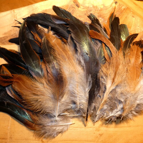 A saisir lot 40 plumes défectueuses coq 10 à 20 cm, déclassées, couleurs mélangées cuivré, vert irisé, gris clair, noir,  plumes à retailler