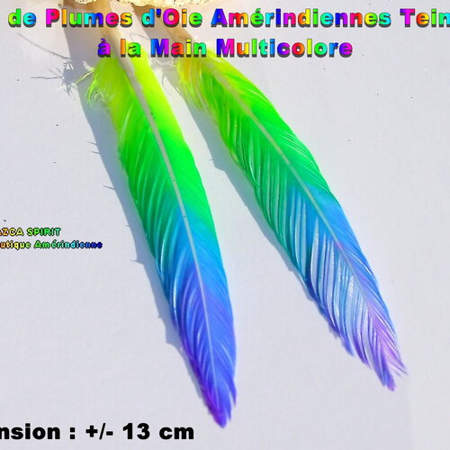 Lot #5 - paire de plumes d'oie tribal ethnique teinture artisanale multicolore +/- 13 cm