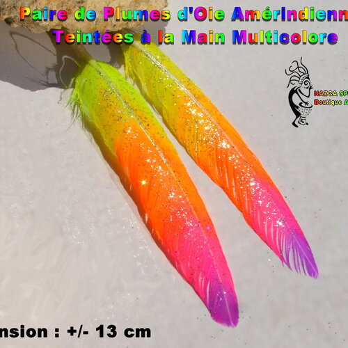Paire de plumes oie tribale ethnique +/- 13 cm, teinture artisanale multicolore, plumes teintes à la main, teintures pigments et alcool 
