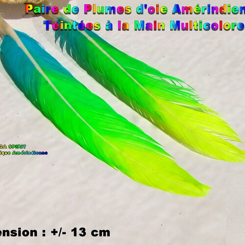 Paire de plumes ethniques  de 13 cm / création artisanale, pendants tribal ethnique plumes d'oie teintées bleu turquoise jaune -vert pomme